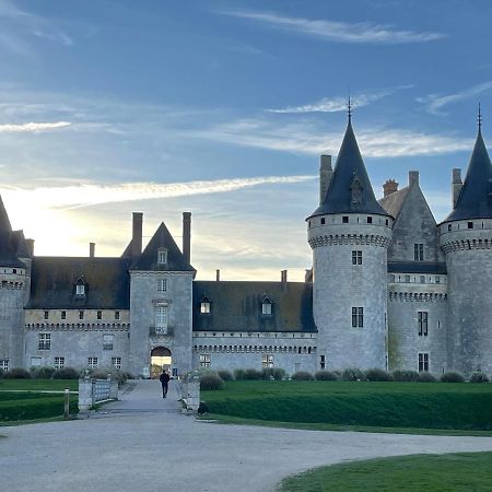 Вилла Marie Galante Сюлли-сюр-Луар Экстерьер фото